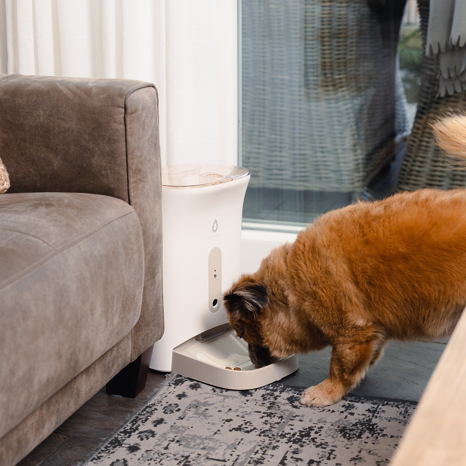 Automatische voerbak de Pet Genie waar een hond in de woonkamer uit eet